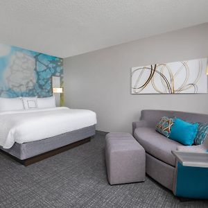 King Room Sofa Bed